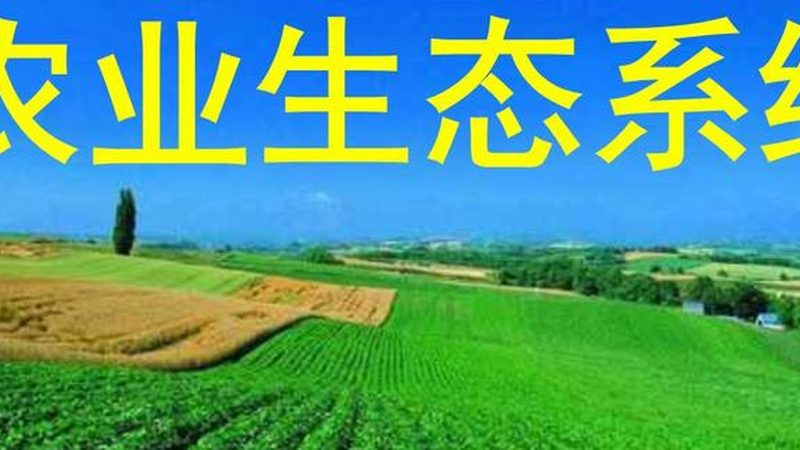 海南芒果种植基地排名揭秘：探寻优质产地的秘密**