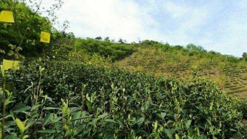 农业种植技术书籍：选择与价格的平衡之道