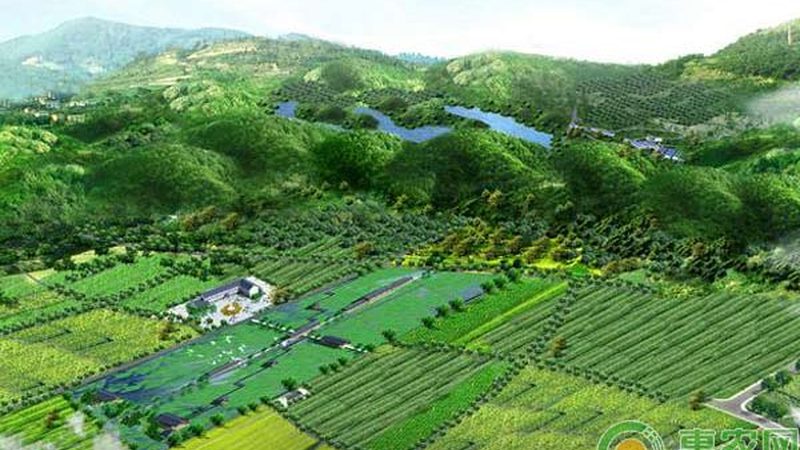 农民专业合作社注册失败，背后原因分析