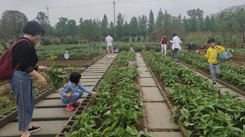 冬储农资，何必等到年底才出手
