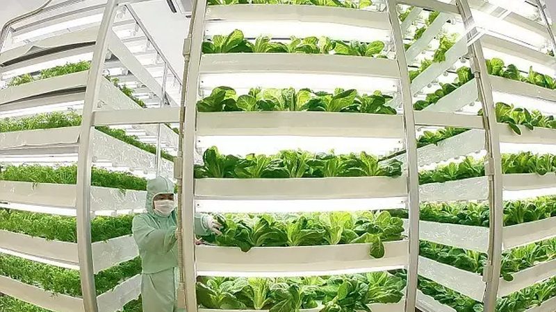 云南水肥一体化设备：农业现代化的重要推手
