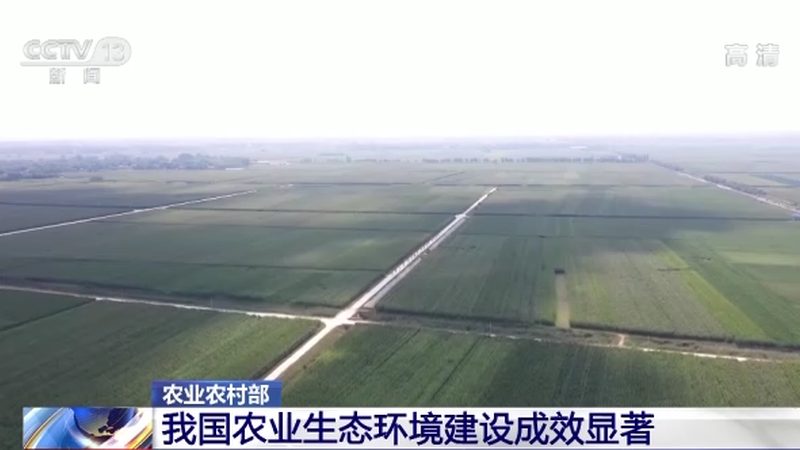 合作社如何应对饲料价格波动？**