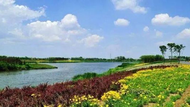 日光温室大棚：揭秘其优缺点与适用场景