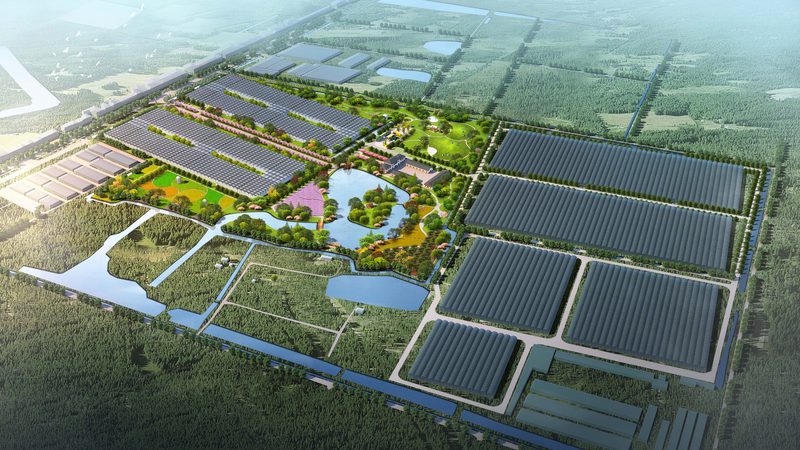 在实际操作中，一些农场主在选择智慧农业加盟代理时容易陷入以下误区：