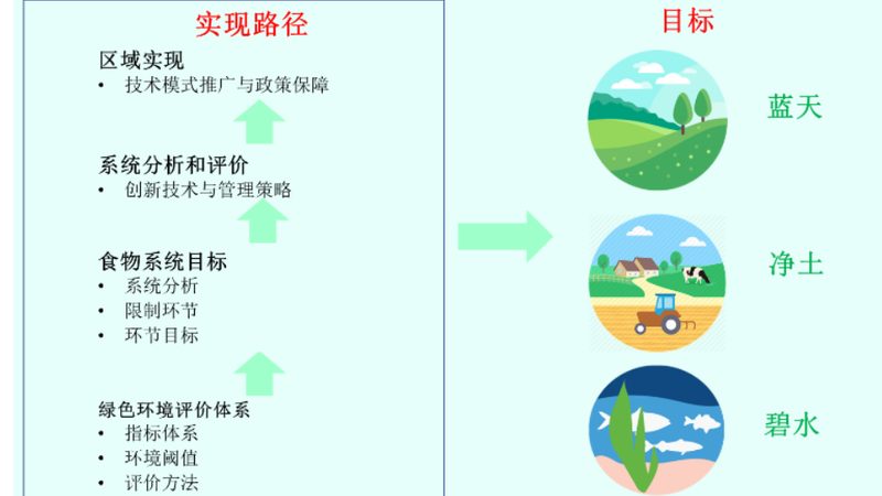 生态养殖：牛羊品种优缺点对比分析