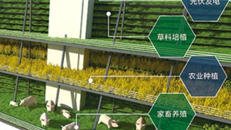 社区生鲜配送常见问题