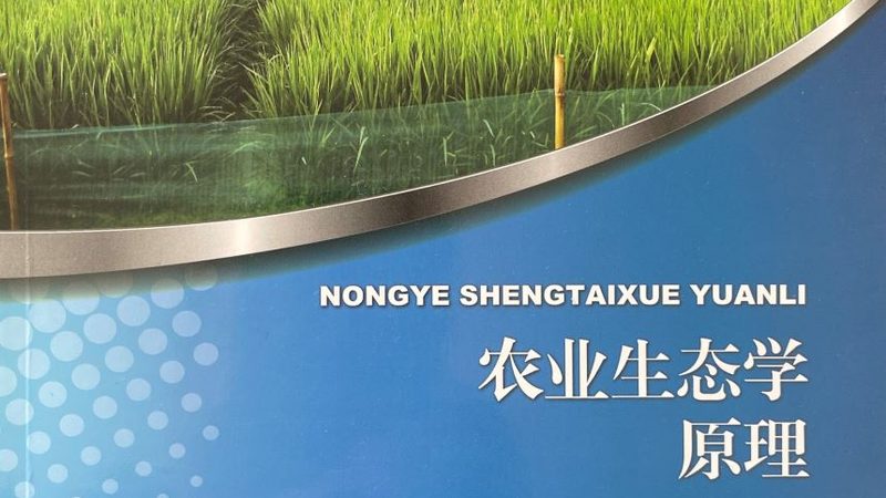 无公害食品绿色食品哪个更严格
