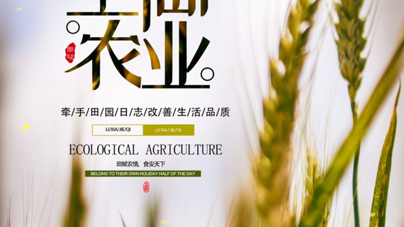 休闲农业与乡村旅游：如何打造双赢项目**